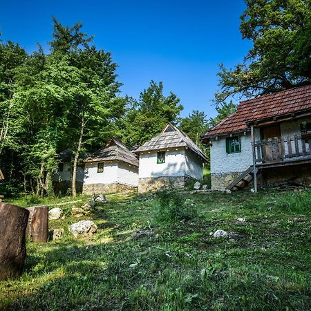 Camp Divlja Rijeka Hotel Hum Luaran gambar