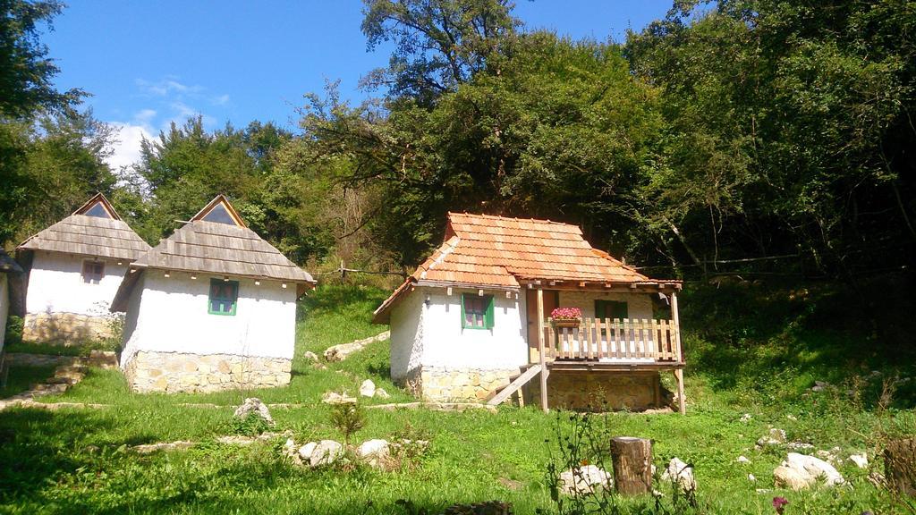 Camp Divlja Rijeka Hotel Hum Luaran gambar